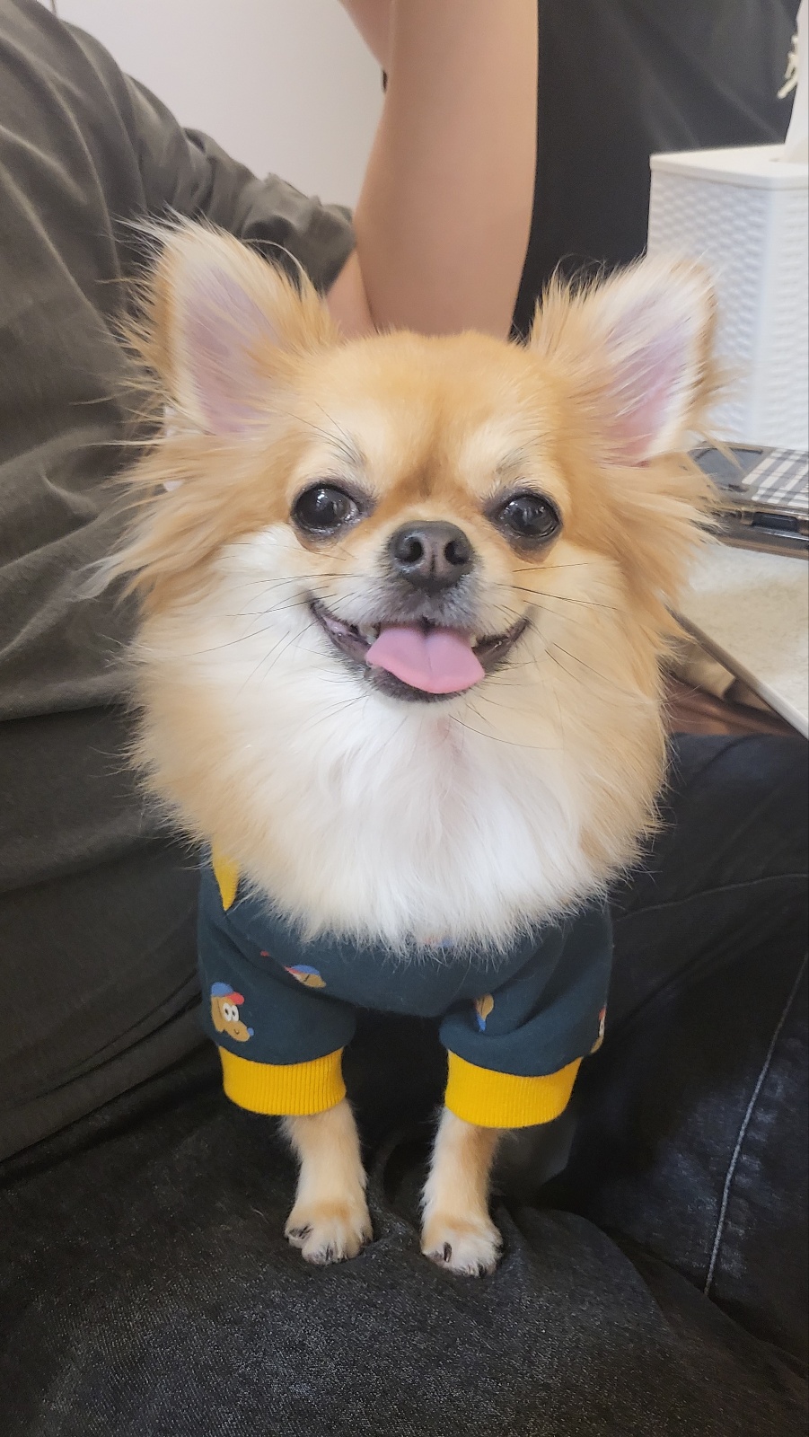 멤버